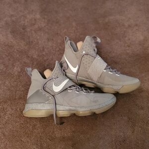 Lebron 14 Silver/Reflective